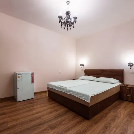 Pensiunea Aliner Guest house *