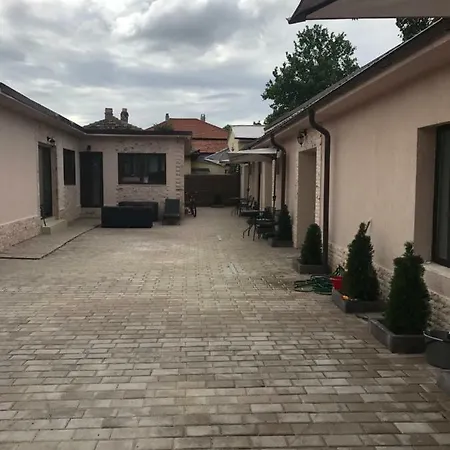 Guest house Pensiunea Aliner *