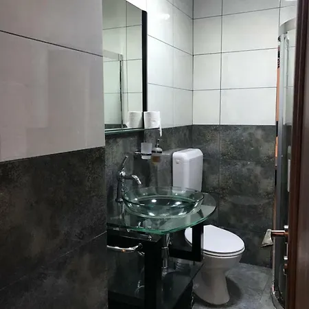 Guest house Pensiunea Aliner