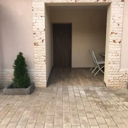 Guest house Pensiunea Aliner