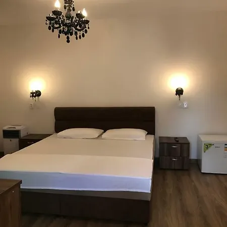 Pensiunea Aliner Guest house *