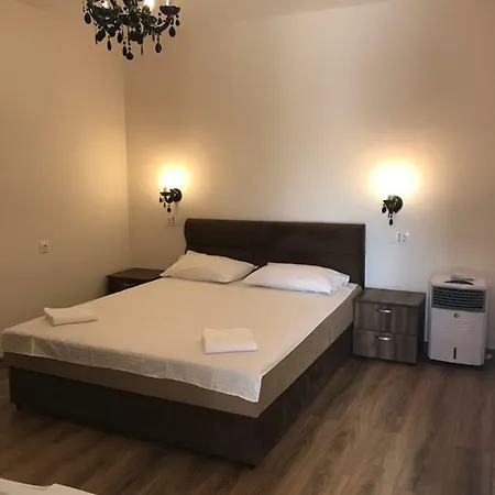 Pensiunea Aliner Guest house