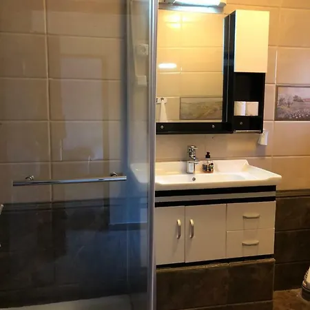 Pensiunea Aliner Guest house